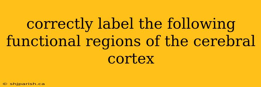 correctly label the following functional regions of the cerebral cortex