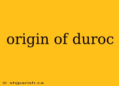 origin of duroc