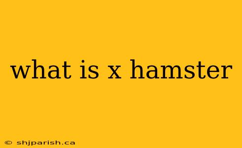 what is x hamster